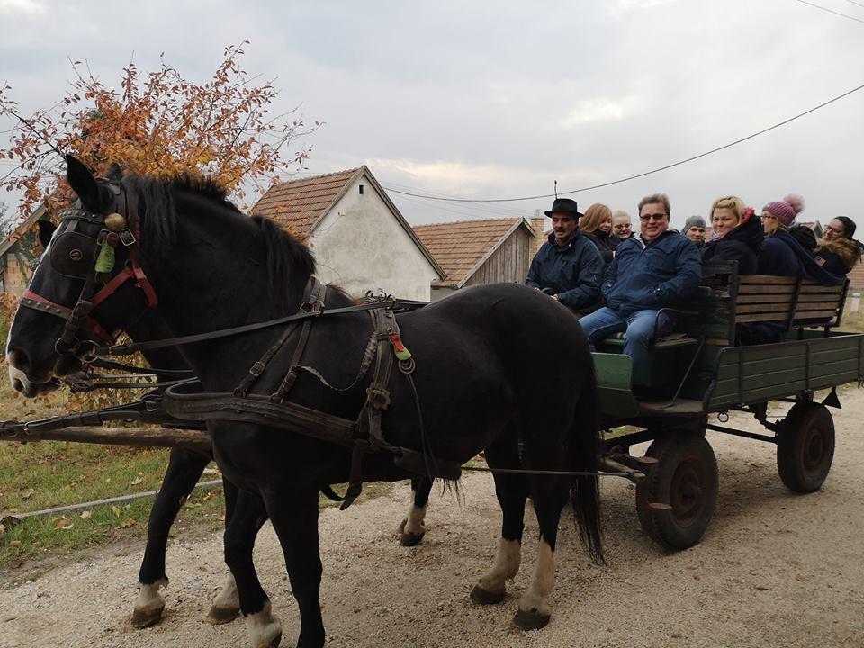kocsikázás a pincefaluban