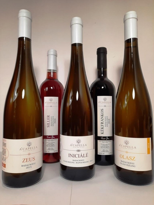 Borkóstoló a moziban