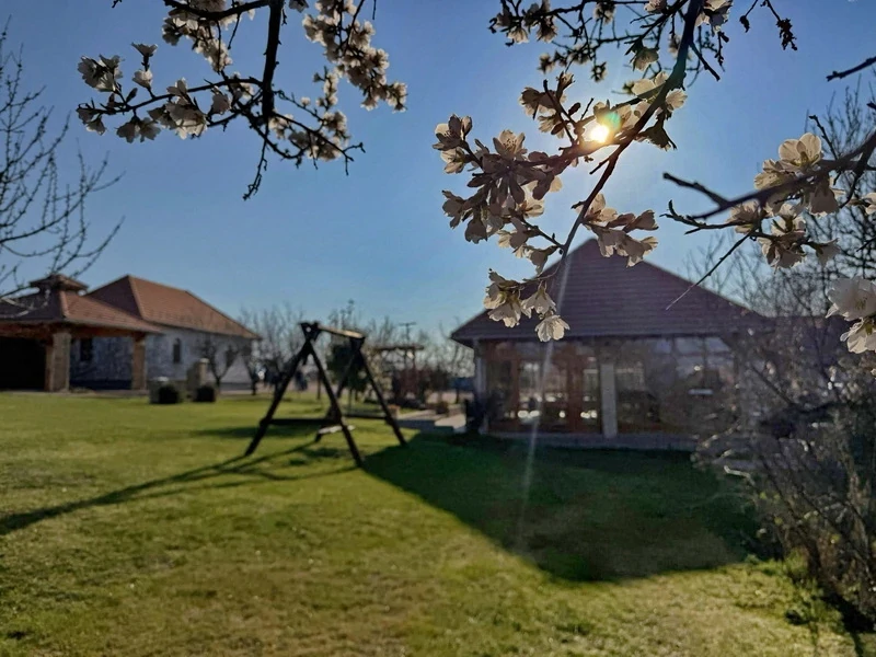 Szezonzáró disznóvágás a KultPincében