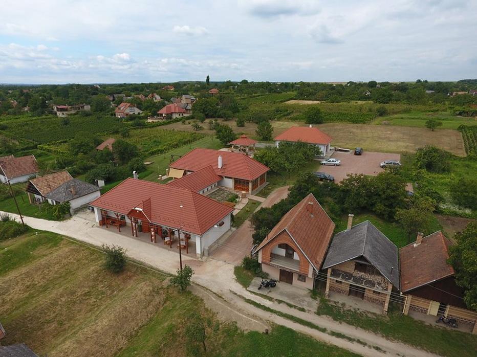 Monori Pincefalu, KultPince