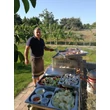 esküvői grillezés