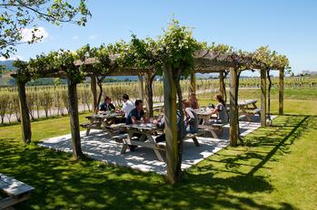 Bovacsora és borkóstoló Új-zélandi borokból