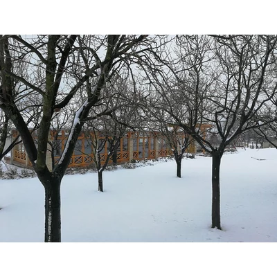 egy igazi téli táj disznóvágáskor