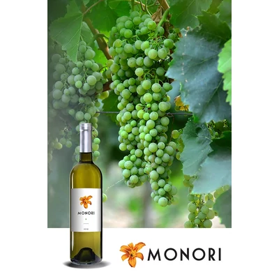 Monoribor