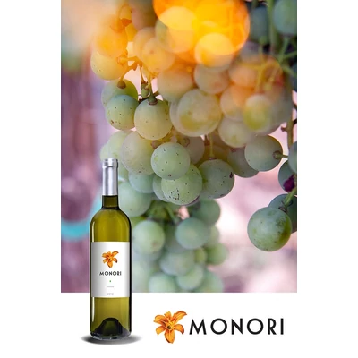 Monoribor