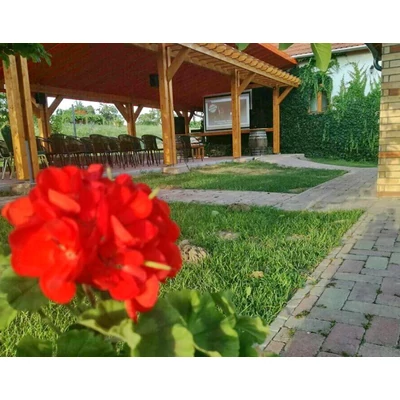 KertMozi helyszíne