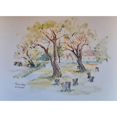 Pincefalu részlet, grafika
