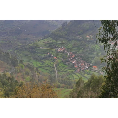 Portugália