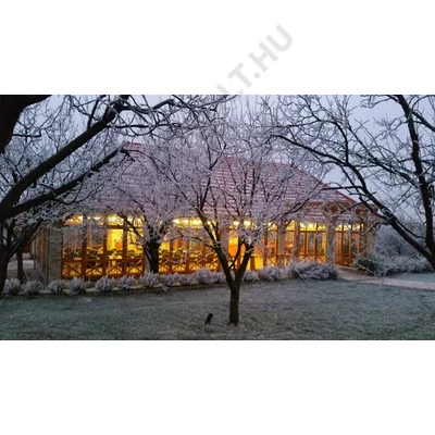 disznóölés,disznótor,Disznóvágás,hurka,kolbász,pecsenye,sült vér, Monor, KultPince