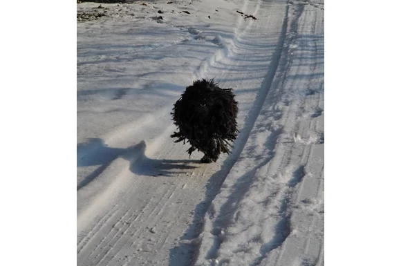Tél varázsa a Strázsahegyen, galéria