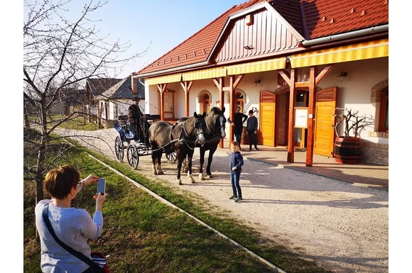 Tavaszi képek és hidegtál a KultPincében