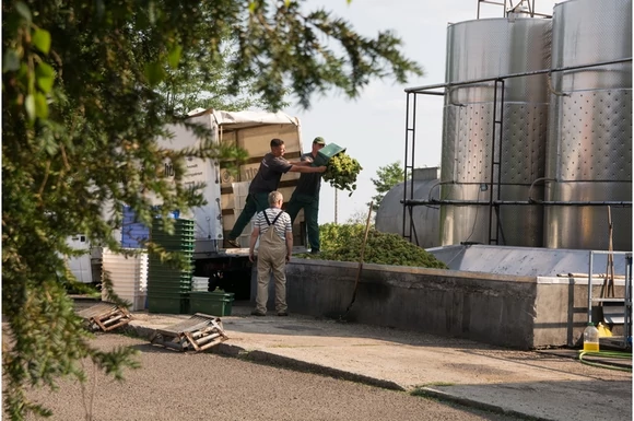 Összefogással készül a Monor OEM bor, galéria