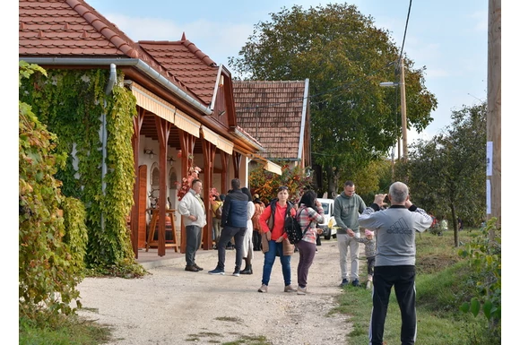 TÖK-JÓ barangolás a Monori Pincefaluban egy tök régi pincéhez