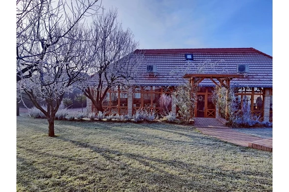 Karácsonyi céges bulik a KultPincében, galéria