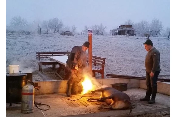 Disznótor a késő őszi napsütésben