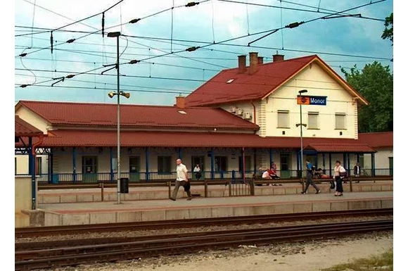 Szőlőfürt és rózsaszirom