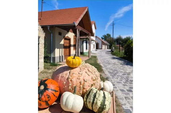 Tök-Jó Barangolás a Monori Pincefaluban 2025